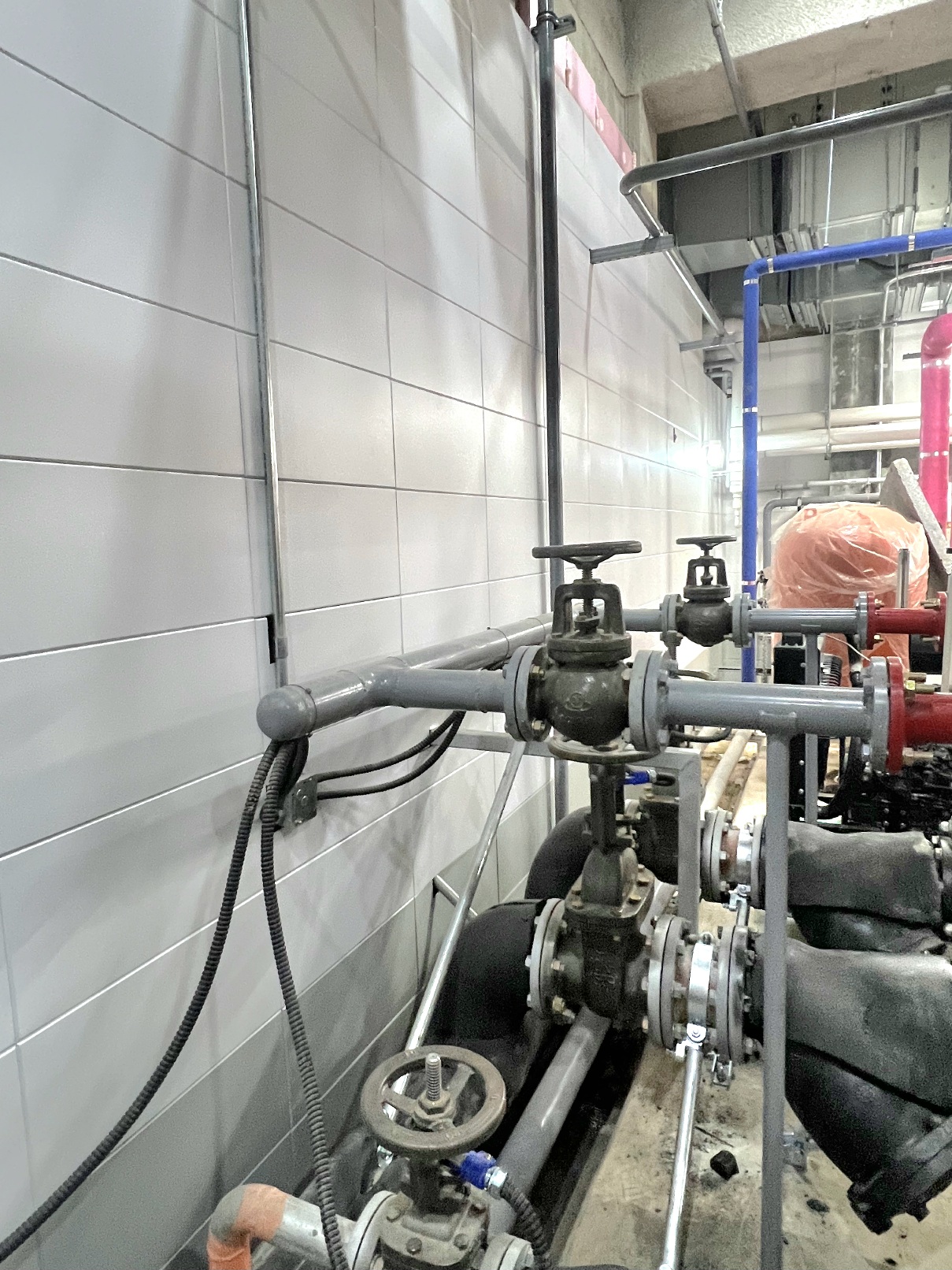 /user/s/soopin/editor/2510/7bb443a0dd5875eddd82607bfdef3d74_1761087594_9348.jpg 이미지크게보기